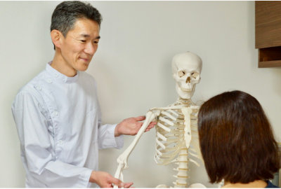 体についての説明